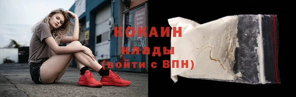 трава Бородино