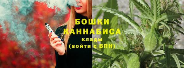 трава Бородино