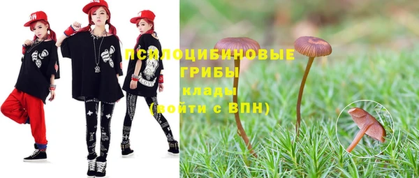 трава Бородино